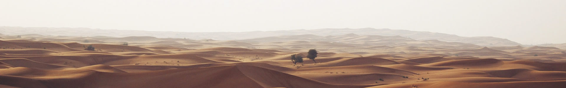 ĳлʹڹƷ޹˾
